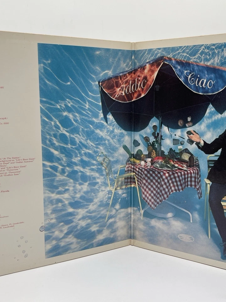 JOE WALSH BUT SERIOUSLY FOLKS 12" LP VG+ VINYL RECORD GATEFOLD ASYLUM 1978 - Imagem 3 de 4