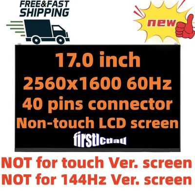 17'' 2.5K LCD Screen Display for LG Gram 17Z990 17Z90Q 17Z90Q-K 17Z90Q-G 17Z90Q-R