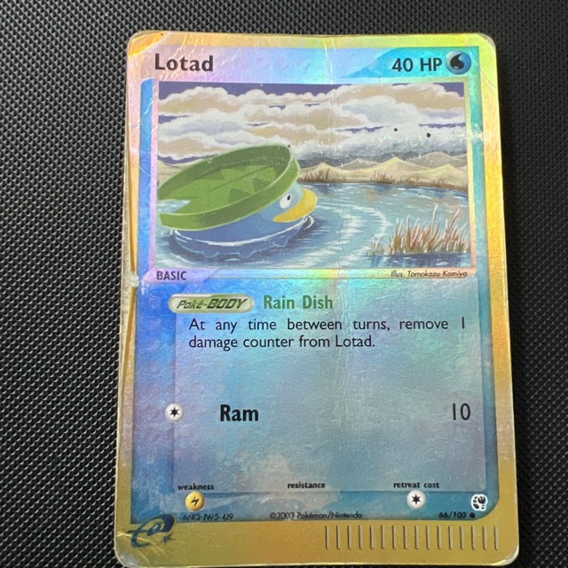 Lotad [Reverse Holo] #66 (Sandstorm (2003))