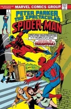 The Spectacular Spider-Man Omnibus Vol. 1 by Bill Mantlo: Used