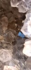 Bild 10 von 12