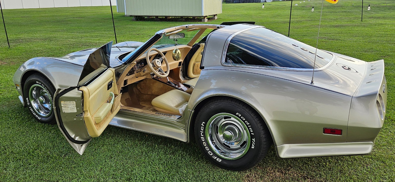 1980 Chevrolet Corvette for sale in Grimesland North Carolina