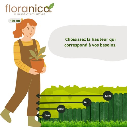 Floranica Rollborder Clôture flexible en bois de pin 100 cm Bordure jardin - Picture 34 of 55