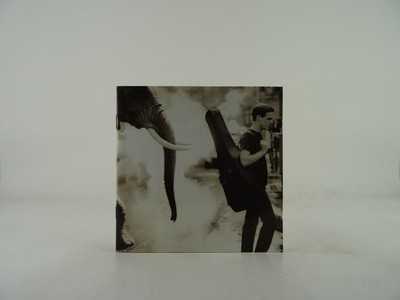 BRYAN ADAMS ON A DAY LIKE TODAY (27) 15 Track CD Album including Picture Sleeve 
