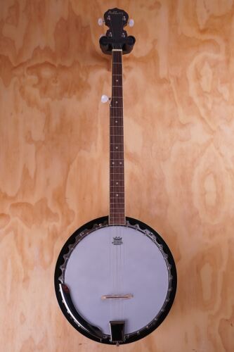 Ashbury AB-35 5-String Banjo, with Gig Bag, USED - Picture 3 of 6