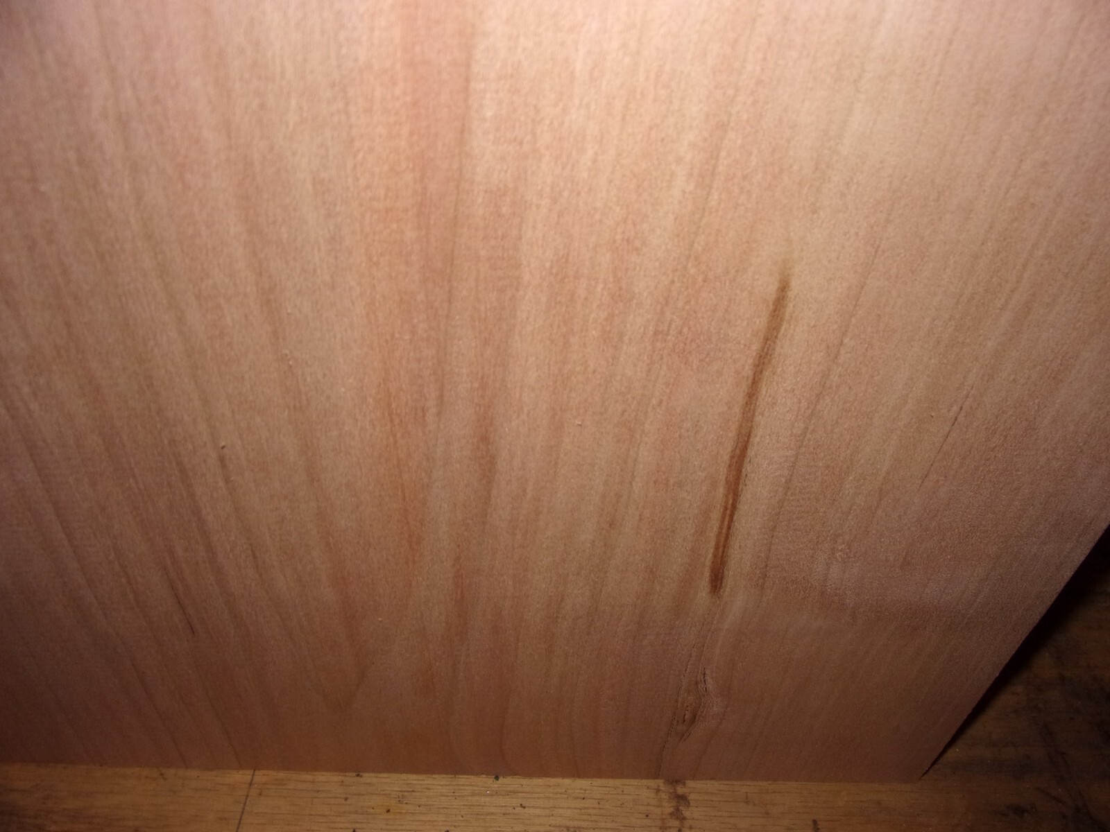 Bild 6 von 8