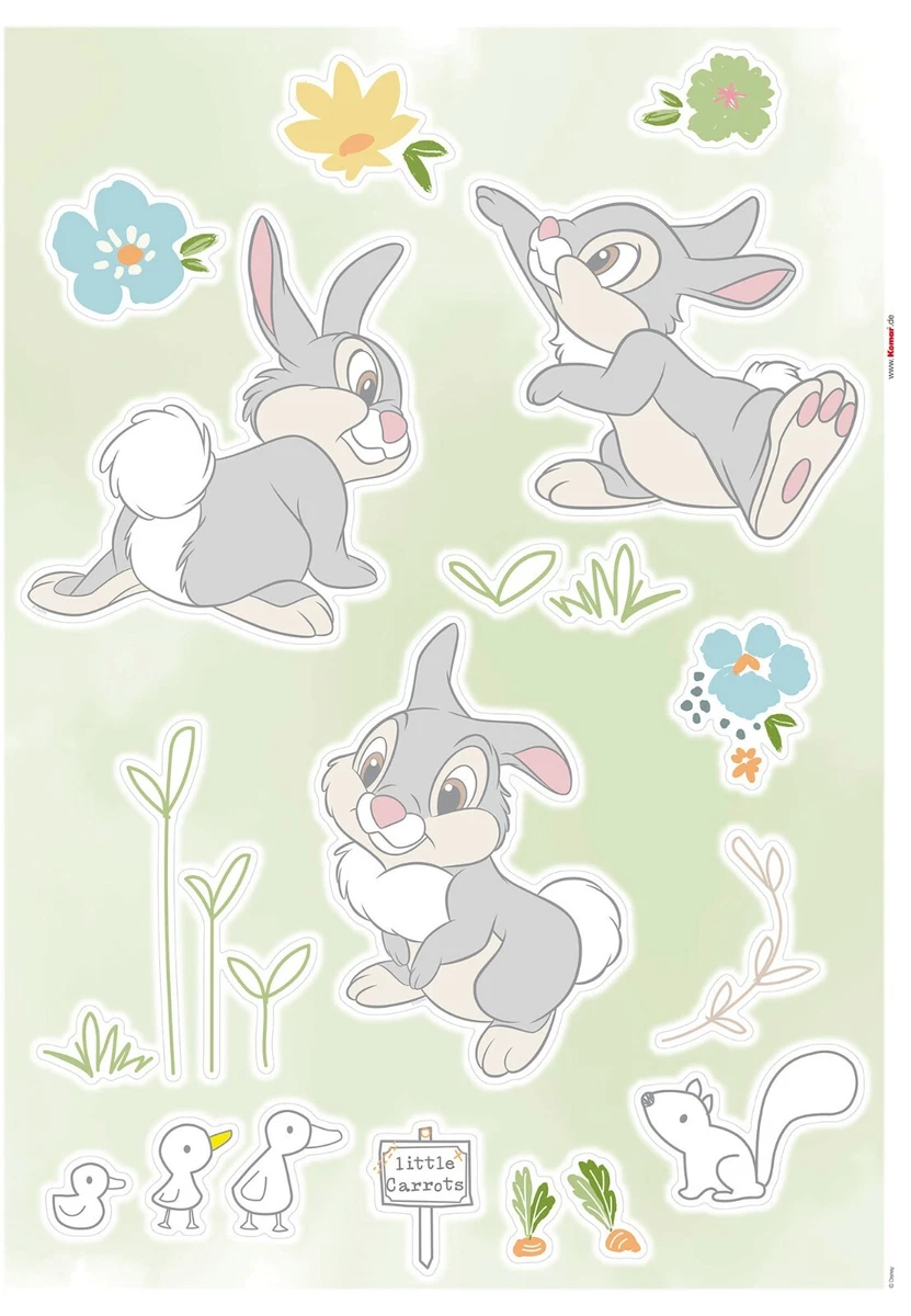 Disney Adhesivos de Pared Juego 50x70cm Muebles Caracteres Tumper 13 Piezas