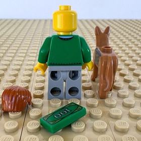 LEGO Creator, Pet Shop: Green Sweater Owner + Dog, MONEY, twn140, 10211, 2011