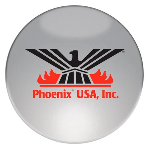 For Chevy G30 75-76 16" Quick Liner 4 Hand Hole Polished Wheel Simulator Set Foto 4 de 4