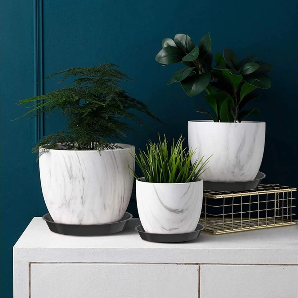 Versatile 6-Pack Black Plant Trays: 4 to 12 Inch for Indoor and Outdoor Use - Image 4 of 4