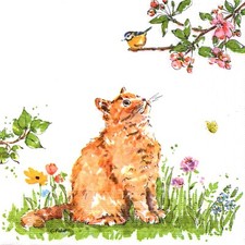 Paquet 20 serviettes en papier chat et l'oiseau. Pack 20 paper napkins cat&bird