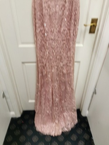 Tiffanys Mia Size 2 Rose Pink Evening dress Fishtail Gown tulle Sequin NWT - Picture 11 of 19