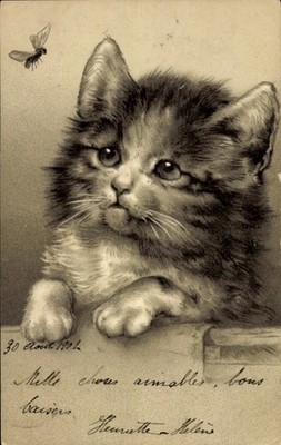 Embossed Litho Domestic Cat Watching a Fly - 11501507
