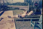 Candlelight Lodge Swimming Pool, Lake Wales Florida: 1950's 35mm Slide LOT x6 — photo 6