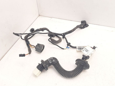 Jaguar X-Type 2.5i 144kW Petrol 2003 Rear Left Wiring Harness Wiring Kit Door 