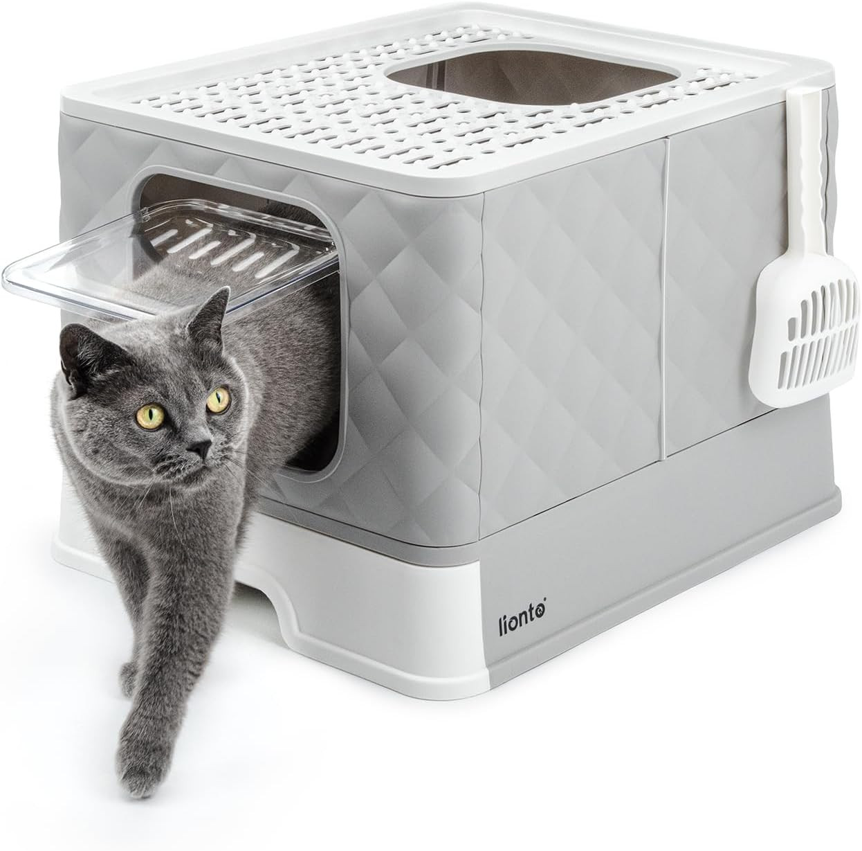 Lettiera Gatto Chiusa con Cassetto Estraibile e Paletta | 50x40x37 cm