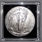 2025 American Silver Eagle, 1 oz UNC, MS, FREE SHIPPING