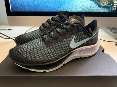 nike pegasus womens 9.5