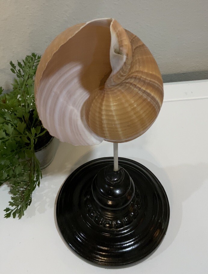 Bild 7 von 9