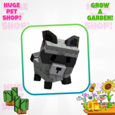 Raccoon Divine   - Grow a Garden - GAG ROBLOX- CHEAPEST  Fast Delivery 