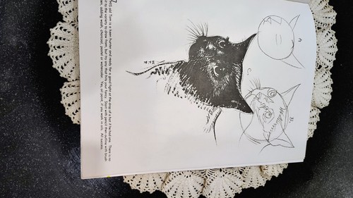 How to Draw Cats Book by Walter Foster #13 Vintage Art Instruction Book - Picture 5 of 7