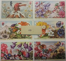 LAVAZZA FIGURINE - Serie 43 - FIORI ALPINI - con fascetta originale