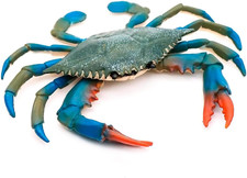 Crab Bath Toy - Realistic Blue Crab Toy 6.6 X 5.3 Inches, Durable and Lightweigh