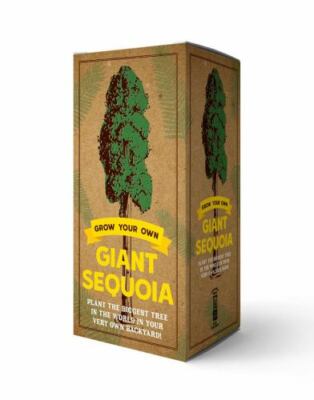 The Grow Your Own Giant Sequoia Kit: Plant the Biggest Tree in the World in...