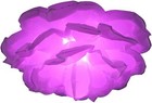 Bild 63 von 68