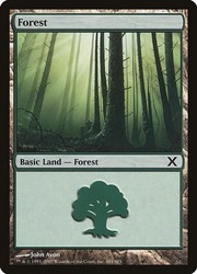 Forest (381) - 10th Edition Magic: The Gathering