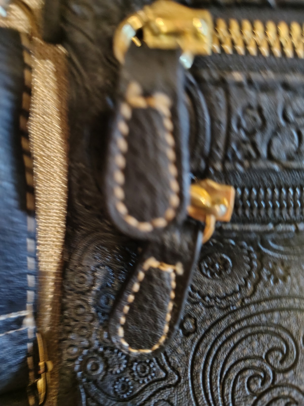 Picture 4 of 15