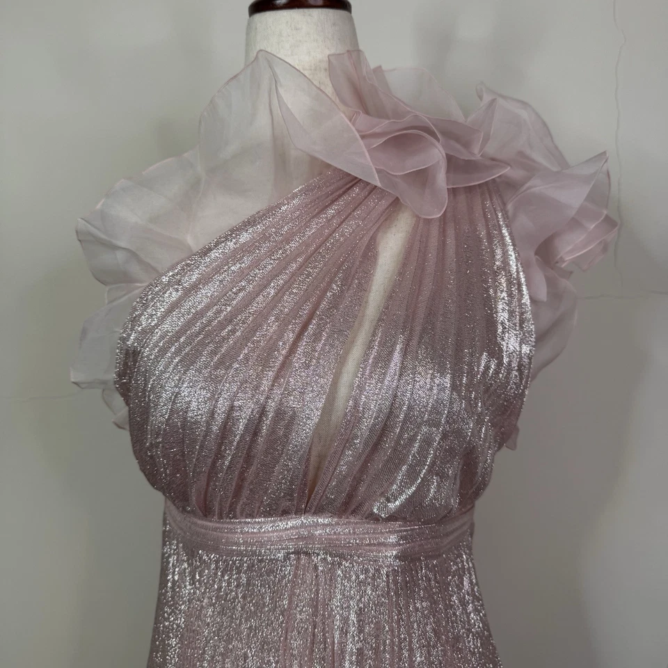 Vestido Giambattista Valli Midi Talla 42 Plisado Seda Babydoll Princesa Romántico Foto 2 de 4