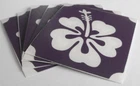j114 BODY GLITTERTATTOO 10 x stencil hibiscus flower glitter tattoo L@@K