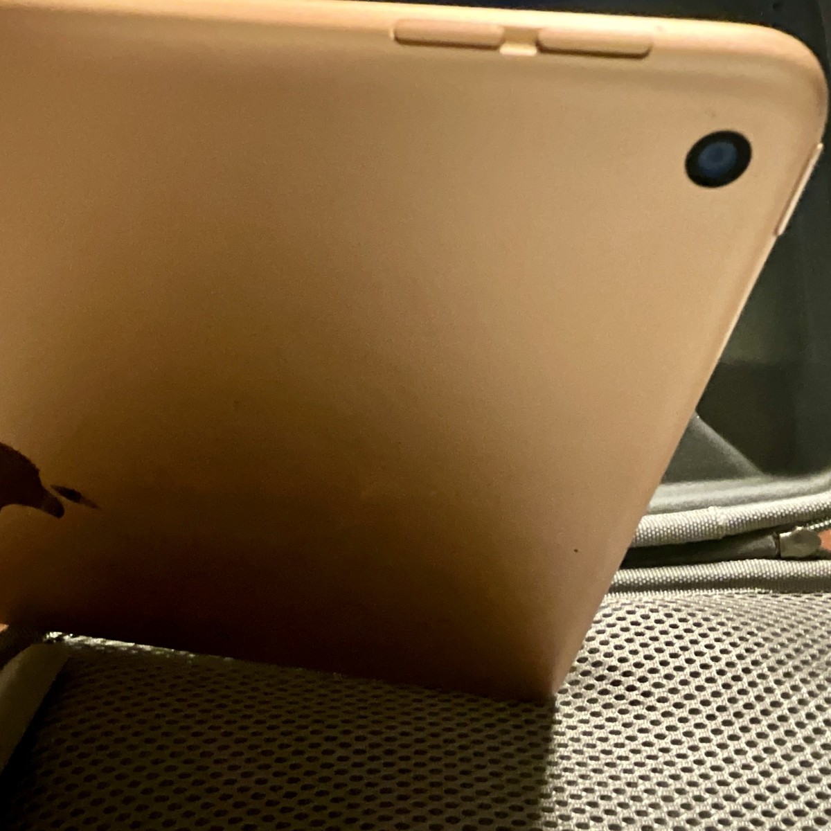 Apple iPad 6th Gen (2018) A1954 Wi-Fi 32GB Gold 9.7