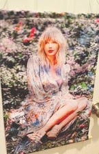 Taylor Swift Canvas Wall Hanging Poster