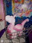 Foto 10 di 14