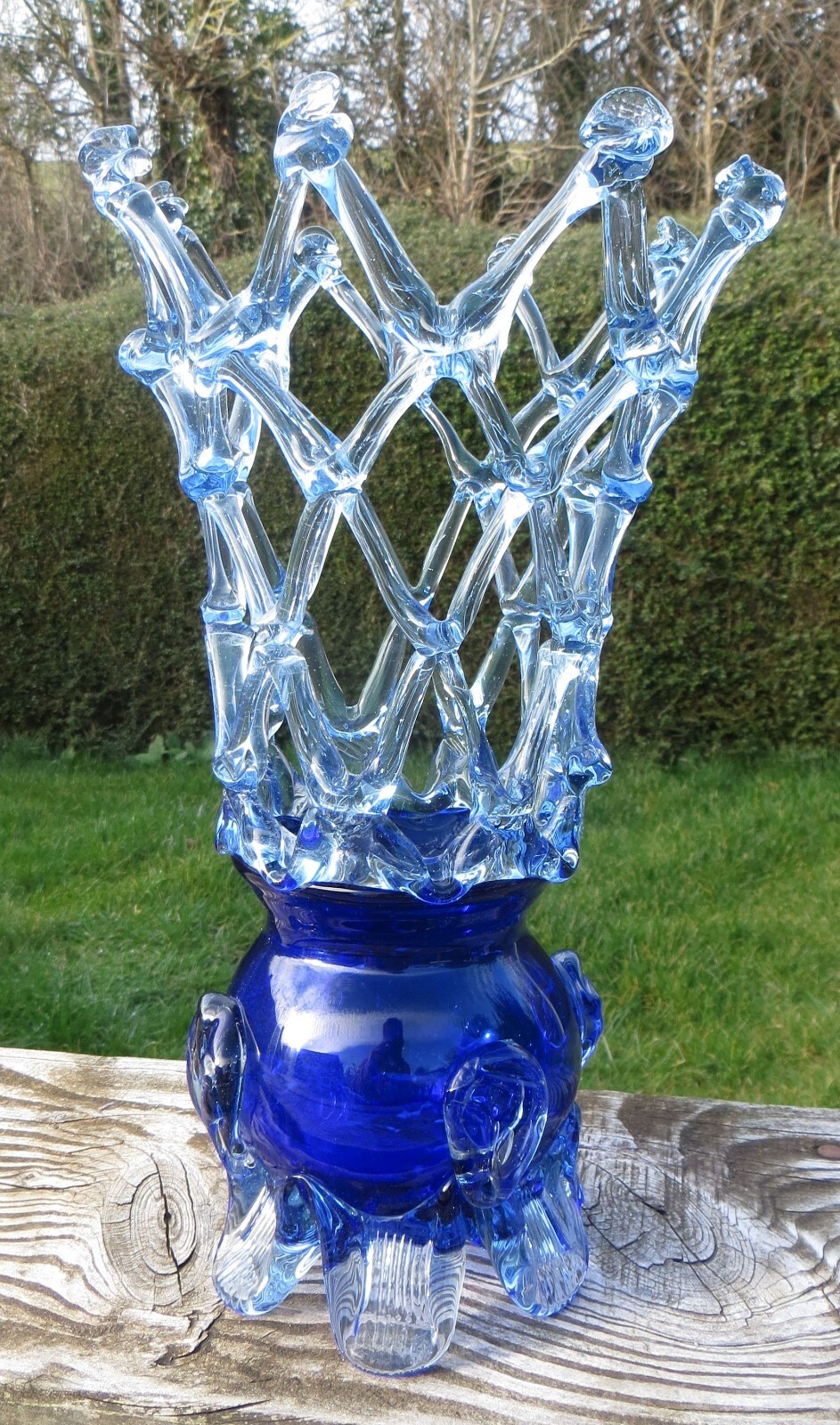 Picture 5 of 12