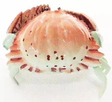 Mini Figure 2.Trough Carappa “Capsule Q Museum Japanese Crab Encyclopedia”