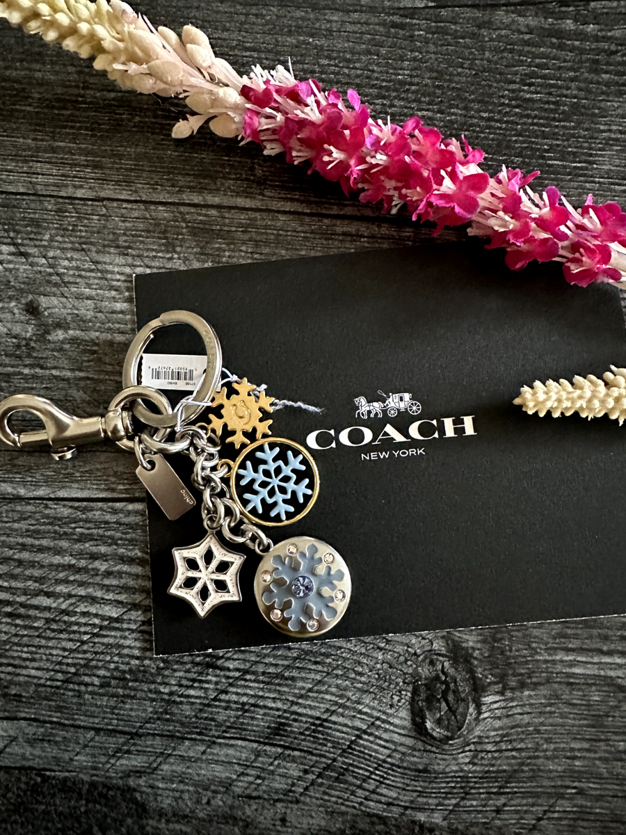 Coach Snowflake Cluster Bag Charm Keychain C7100 Silver/Multi New | eBay Coach Snowflake Cluster Bag Charm Keychain C7100 Silver/Multi New | eBay