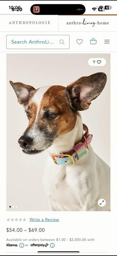 New Glad & Young Studio Pet Marbled Leather Collar with Brass Accents - Picture 4 of 12