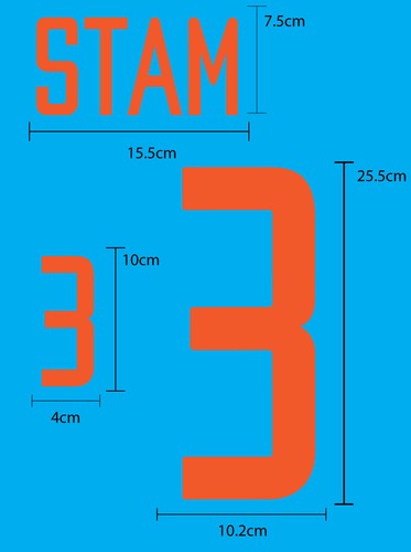 Netherlands Away 2002-04 PU NAME NUMBERING PRINT EXCELLENT QUALITY - Picture 10 of 12