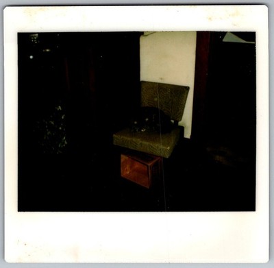 Vtg Polaroid Snapshot Photo Dark Cat Sleeping On Green Chair Wood Crate 1970s