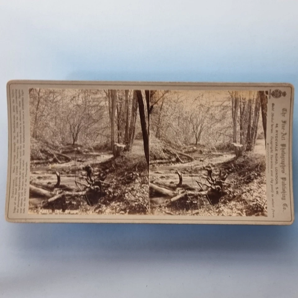 Boer War Stereoview 3D C1900 Foto Real Wynberg Hospital Ciudad del Cabo Ejército Cirujano Foto 3 de 3