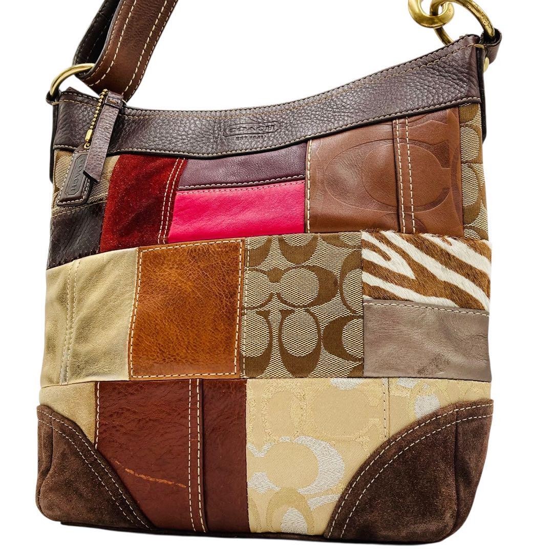 Coach Multicolor Signature Canvas Shoulder Bag Authentic G06233416