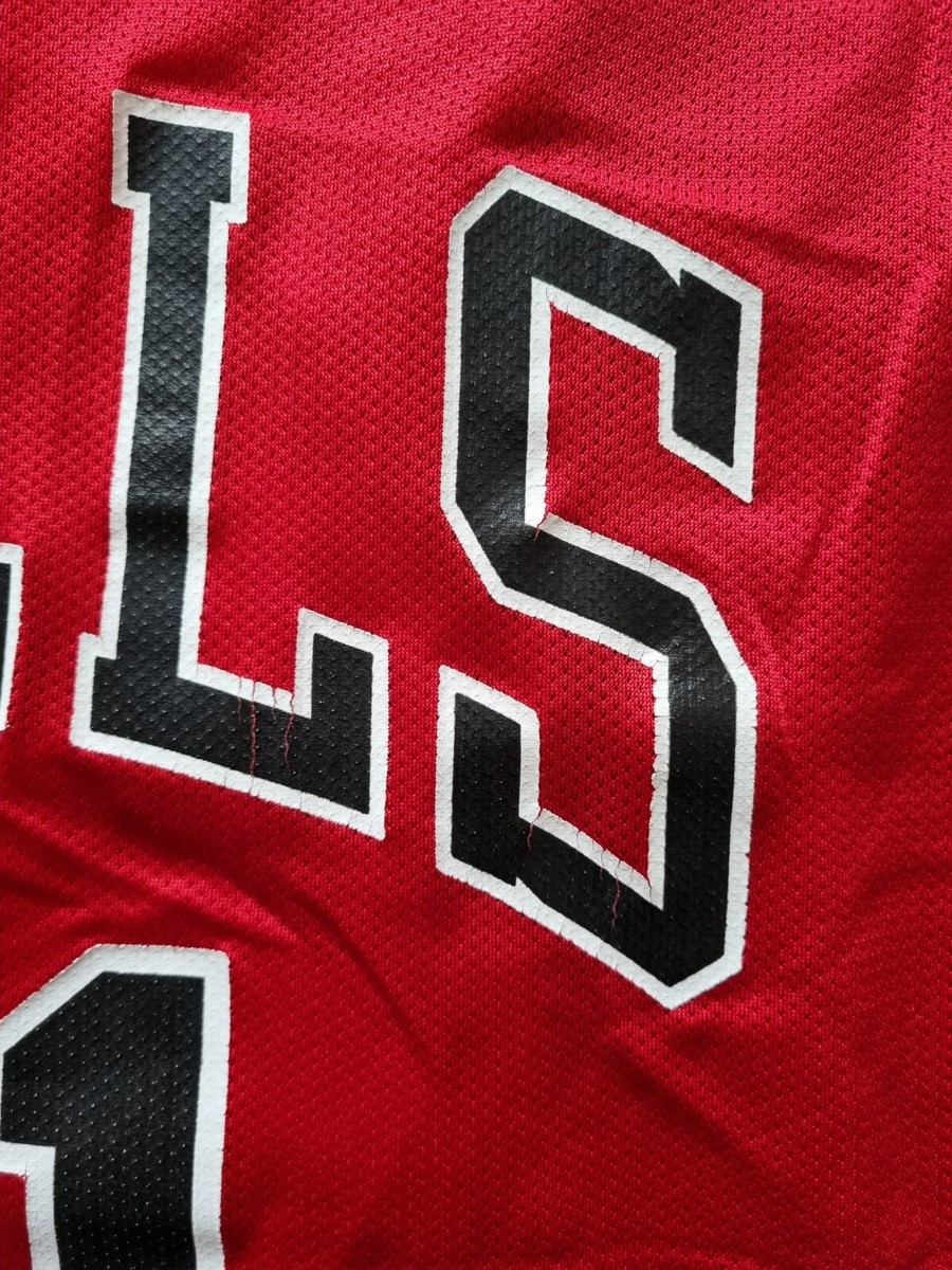 NBA Chicago Bulls Basketball Champion Authentic Jersey #21