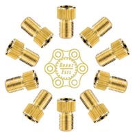 10X Fahrrad Ventiladapter Von Dv Sv Auf Autoventil - Kfz Pumpe Av Ventiladapter