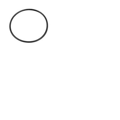 O-ring for compressor outlet flange