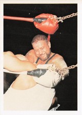 1988 Wonderama NWA #163 Luke Williams