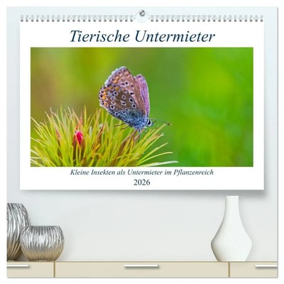 Clemens Stenner | Tierische Untermieter (hochwertiger Premium Wandkalender...