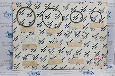 KSB AMRI Hydraulic ACTO H61 Actuator Seal & Hardware Kit Hull N016
